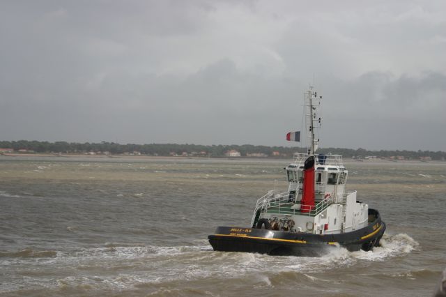 Belle ile - port de saint nazaire - 07 juillet 2008 (5).JPG